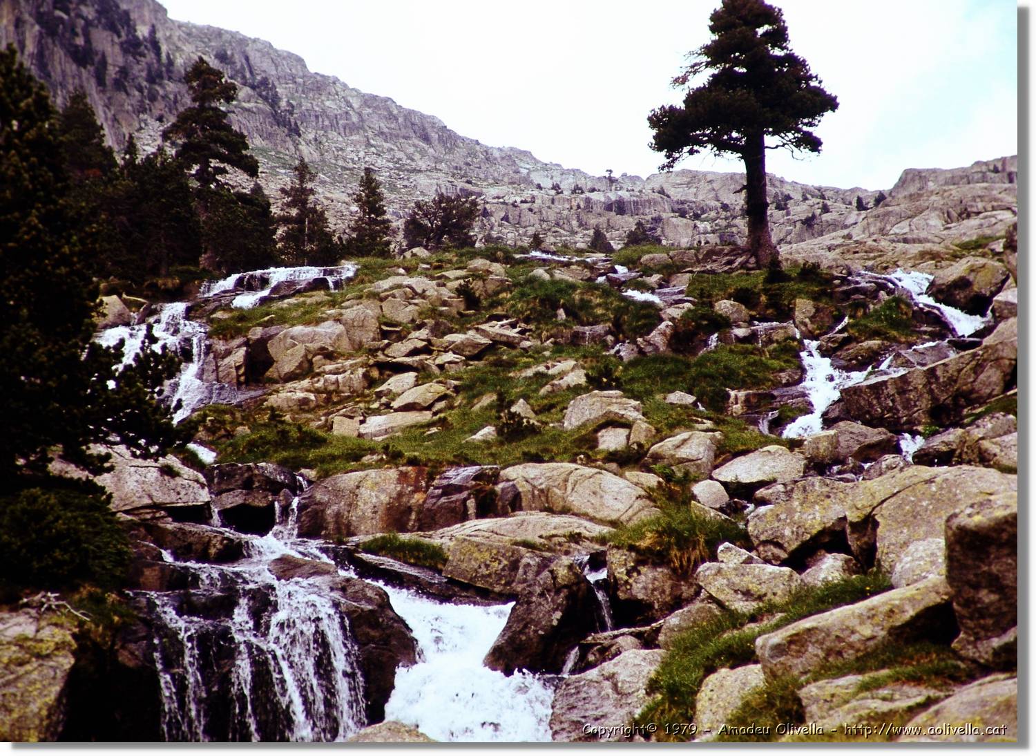 Besiberri_011.jpg
