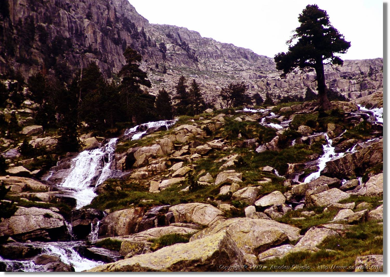 Besiberri_012.jpg