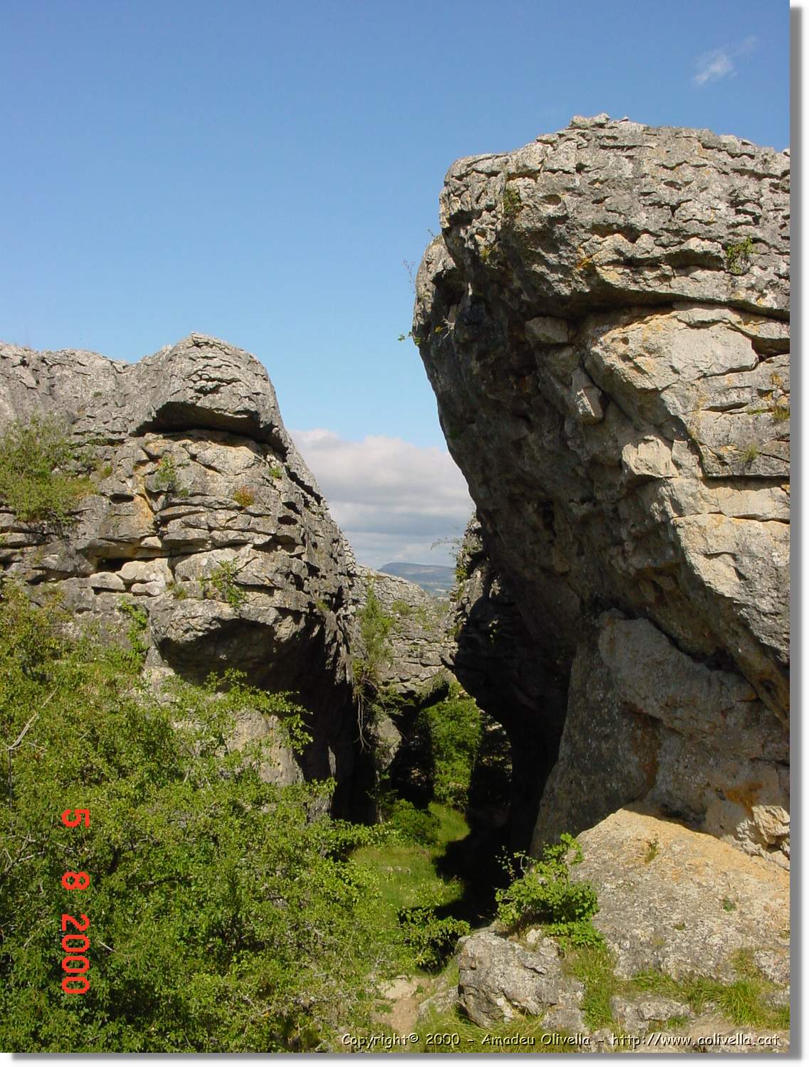 Carrionas_018.jpg