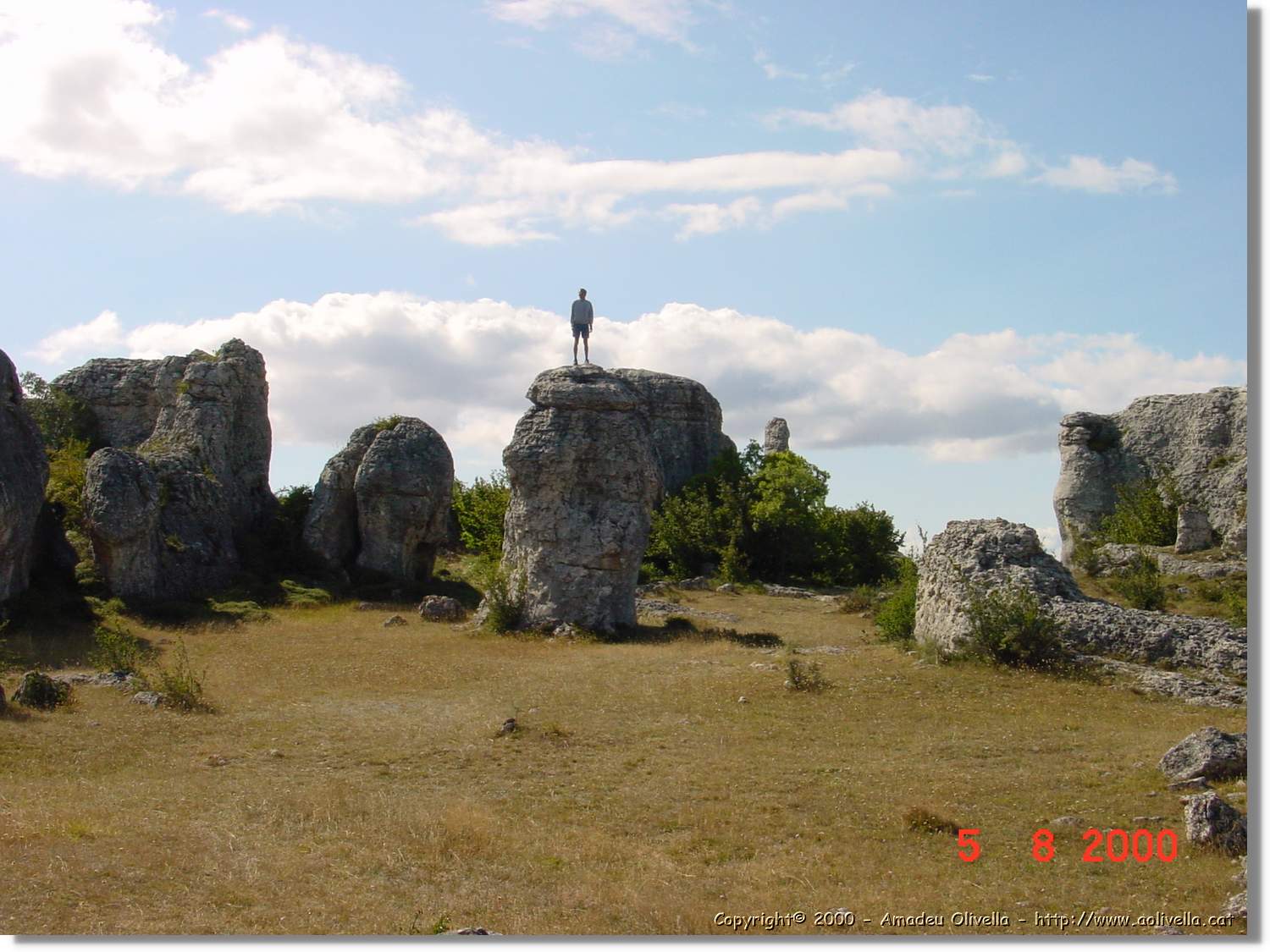 Carrionas_023.jpg