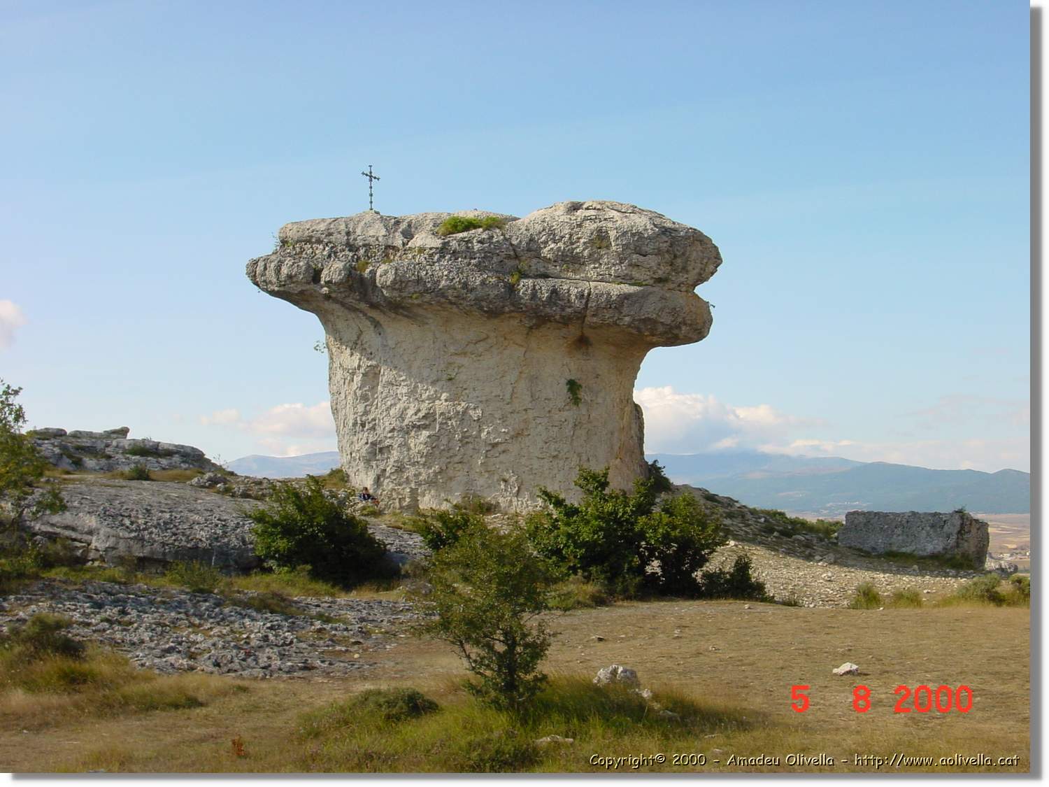 Carrionas_025.jpg