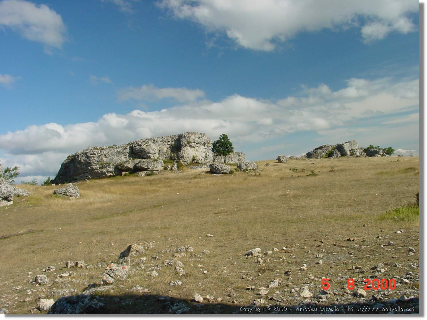 Carrionas_027.jpg