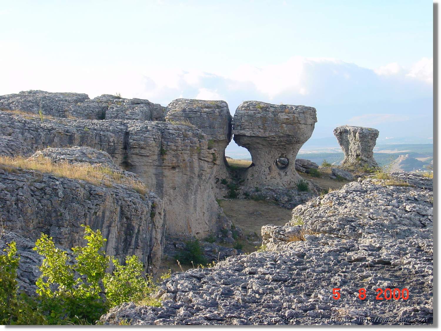Carrionas_037.jpg