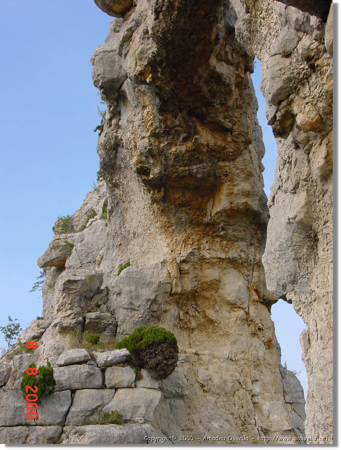 Carrionas_083.jpg