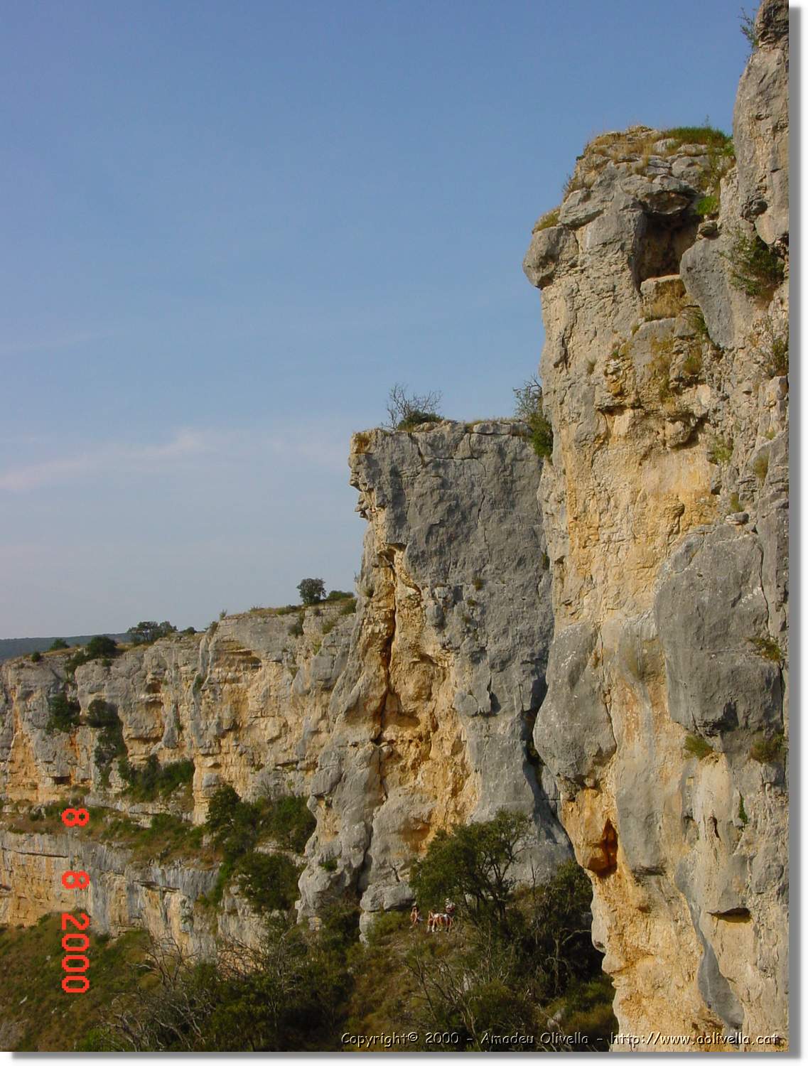Carrionas_087.jpg