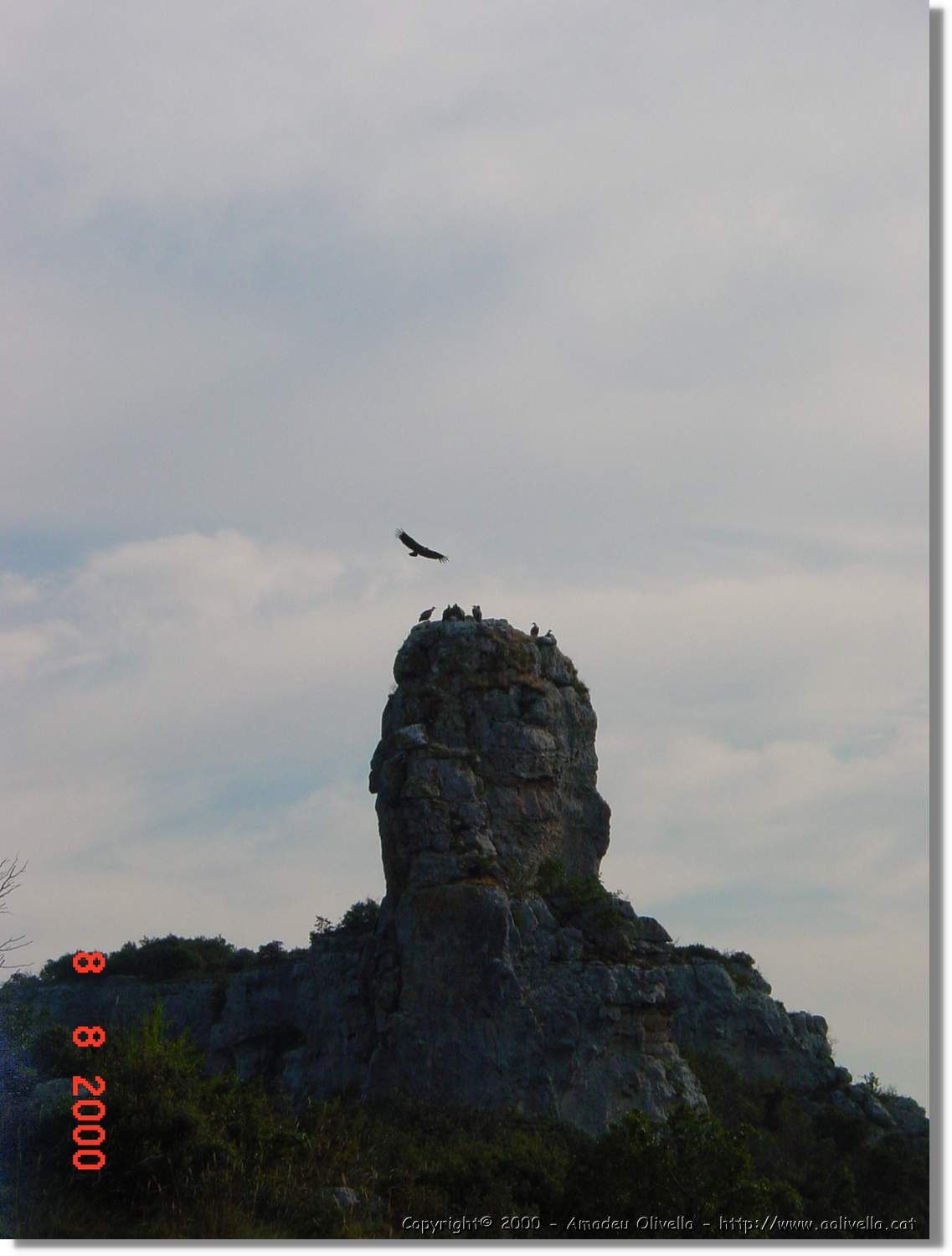 Carrionas_089.jpg