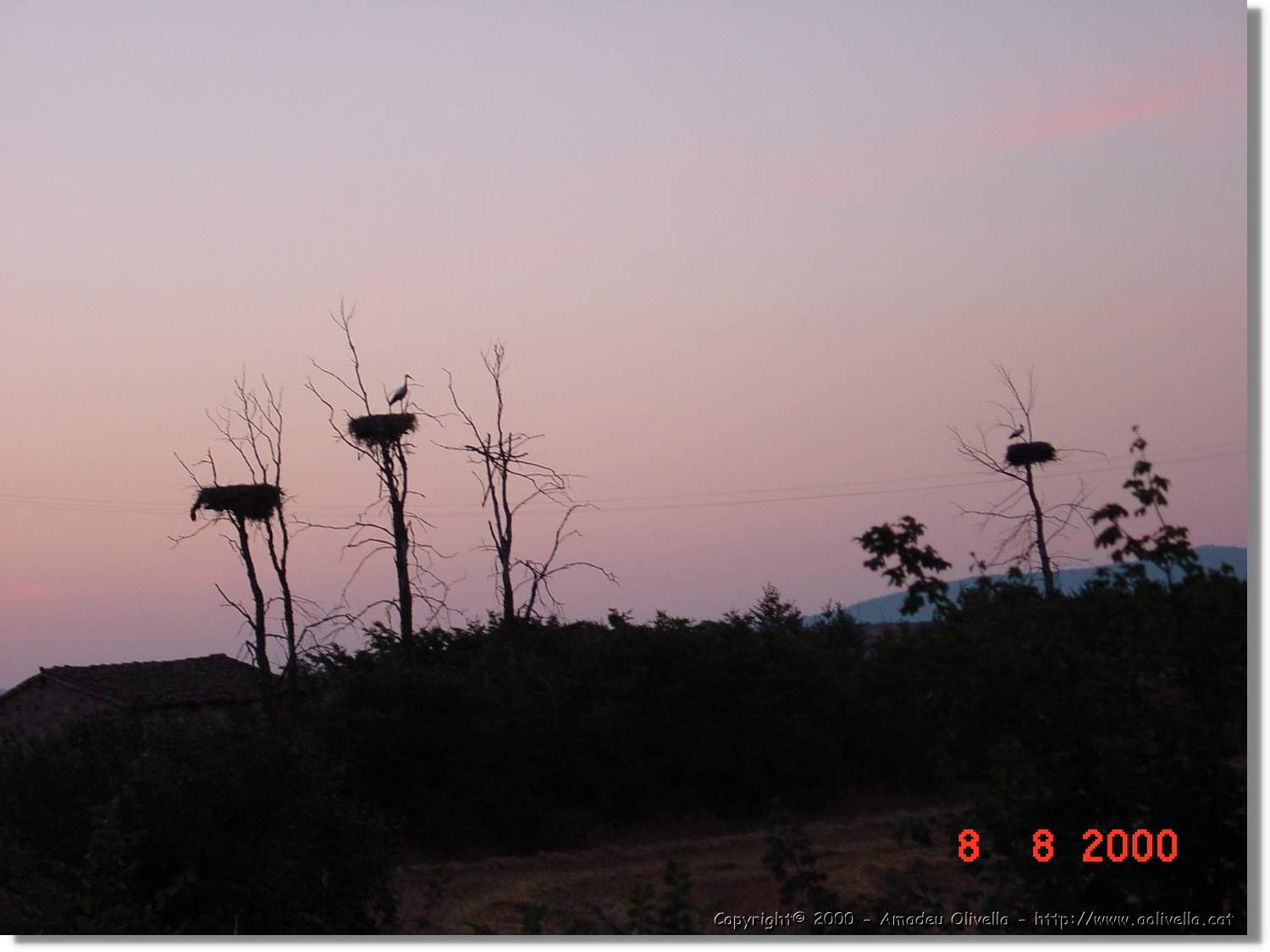Carrionas_093.jpg
