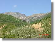 Carrionas_056.jpg