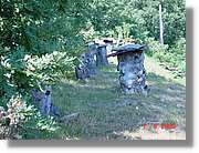 Carrionas_068.jpg