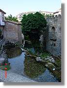 Carrionas_075.jpg