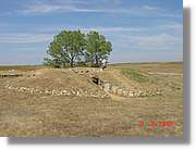Carrionas_081.jpg