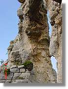 Carrionas_083.jpg