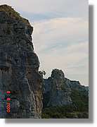Carrionas_085.jpg