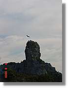 Carrionas_089.jpg
