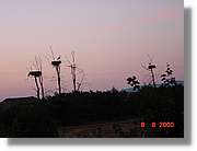 Carrionas_093.jpg