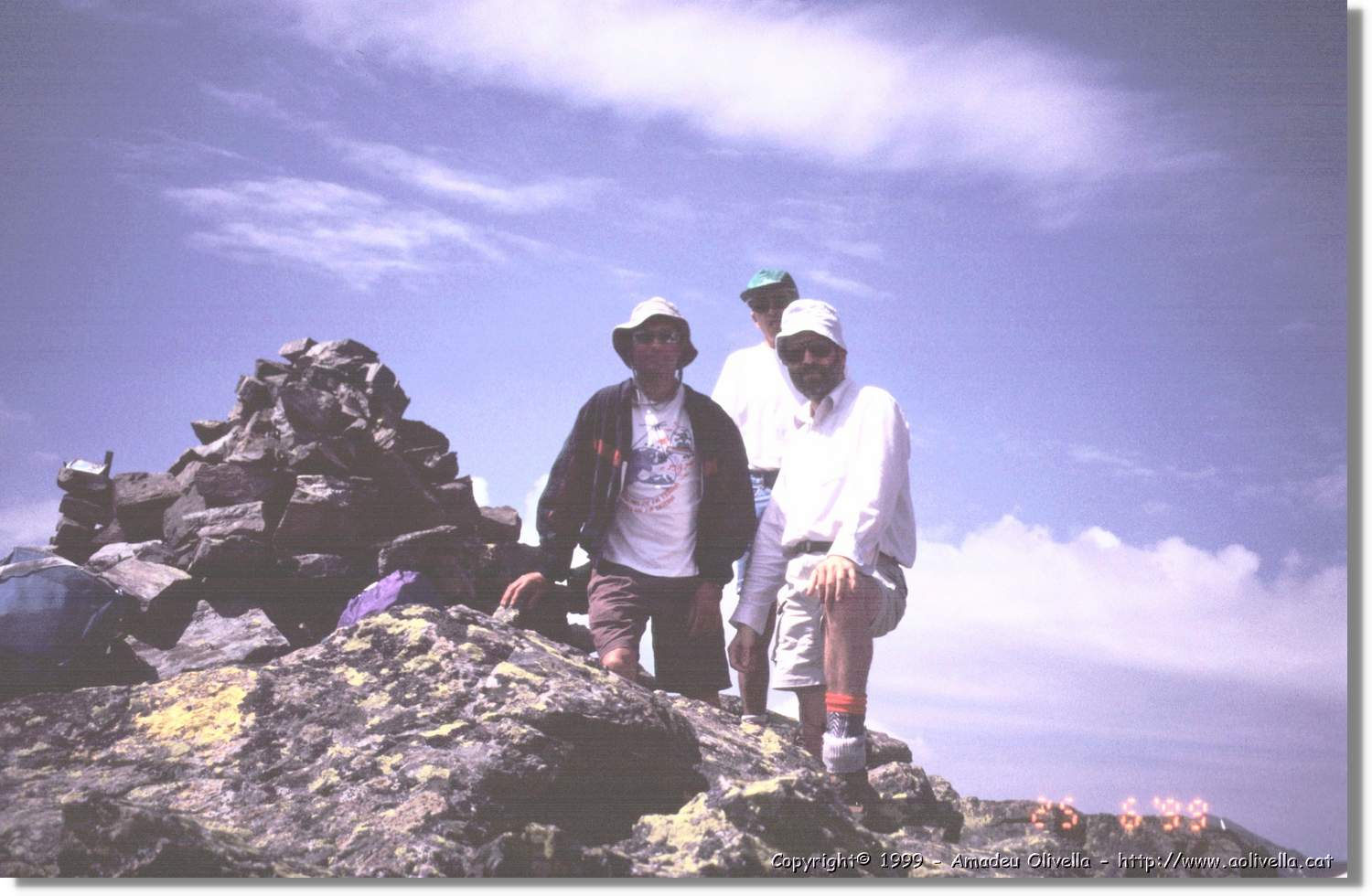 Catap_22.jpg