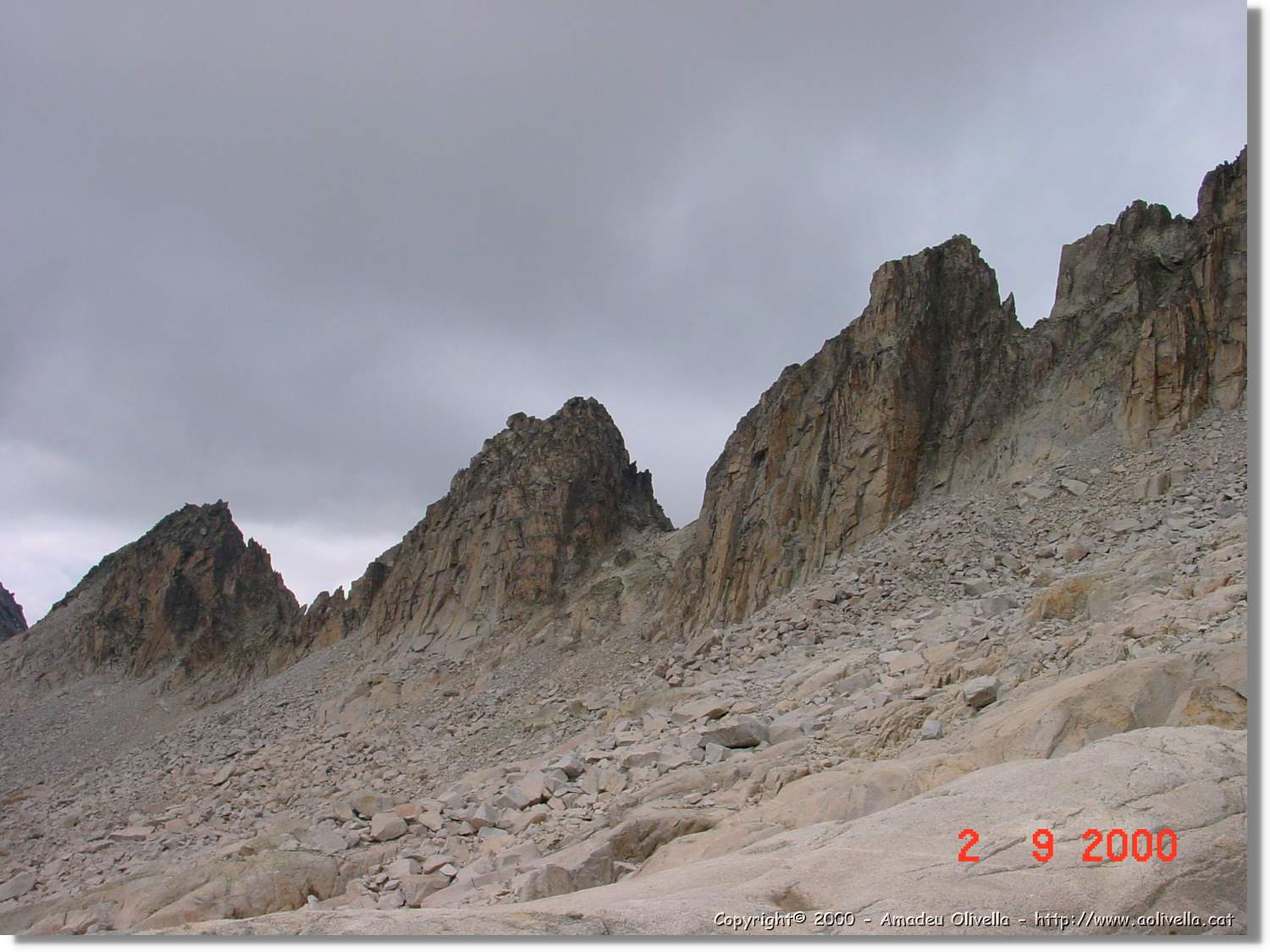 Corones_67.jpg
