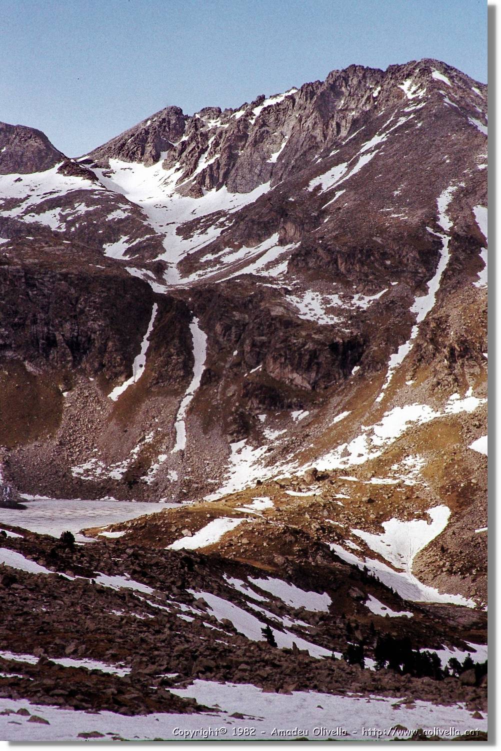 Forcanada_002.jpg