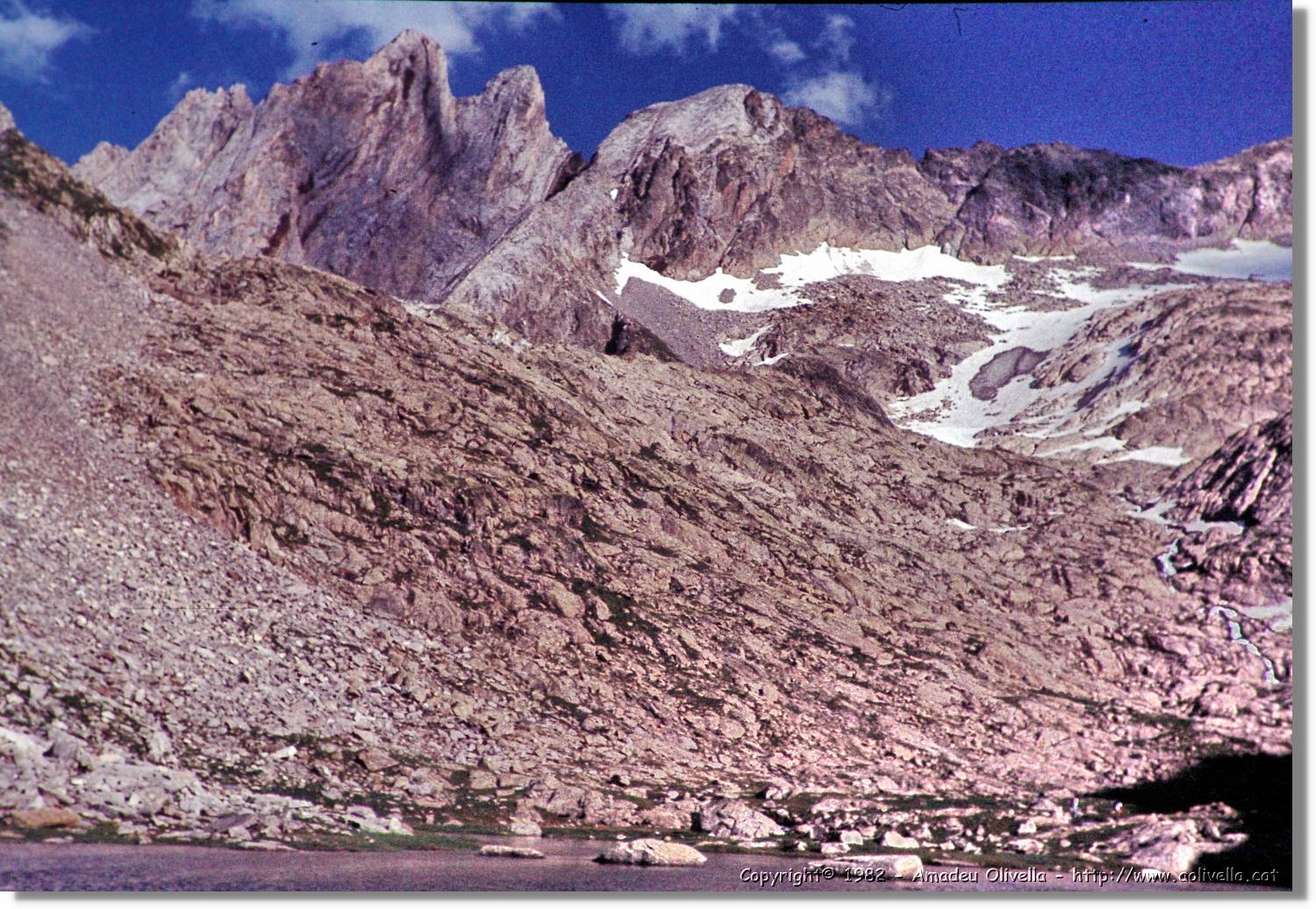 Forcanada_007.jpg