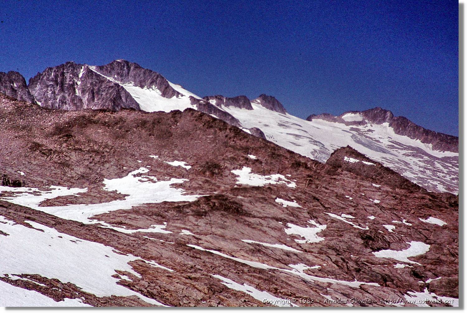 Forcanada_012.jpg