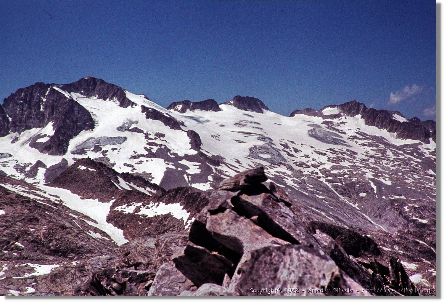 Forcanada_015.jpg