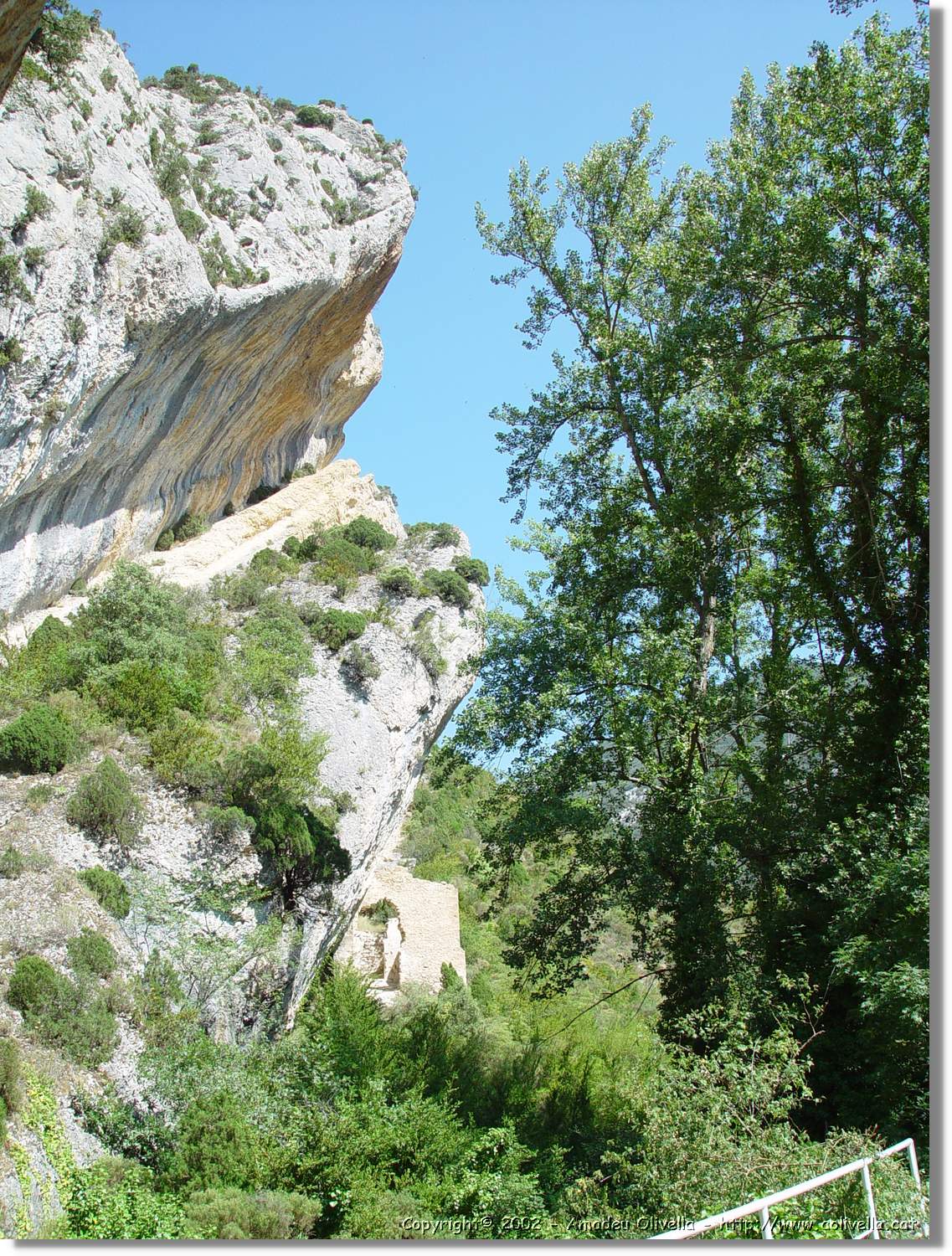 Frias_ 028.jpg