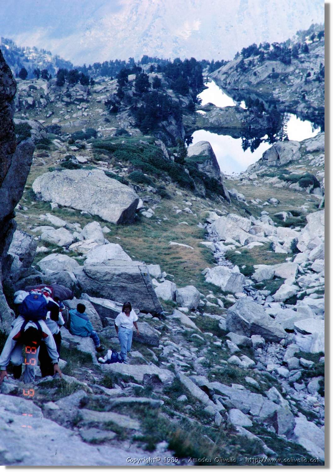 Gerber_001.jpg
