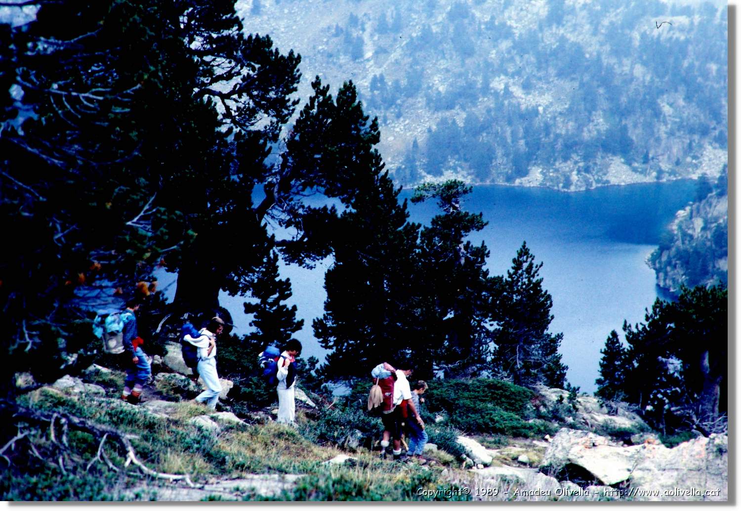 Gerber_040.jpg