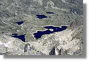 Gerber_021.jpg