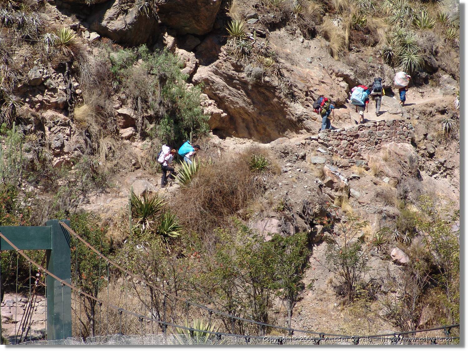 Inca_058.jpg
