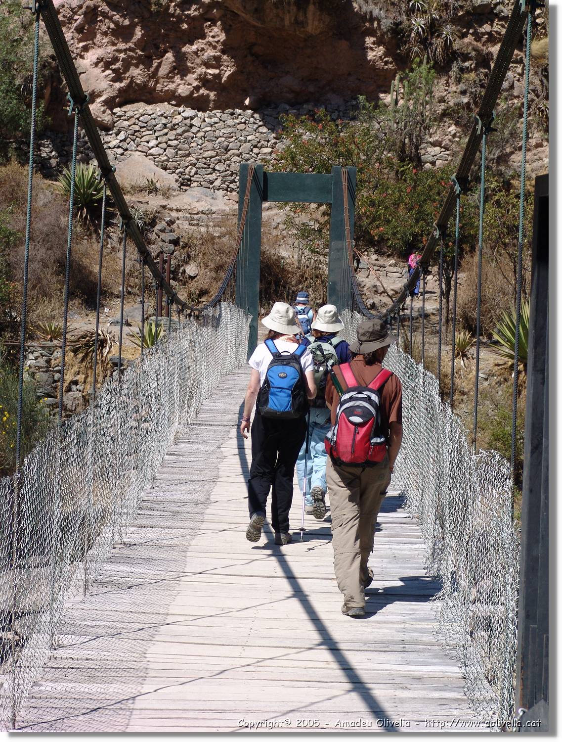 Inca_061.jpg