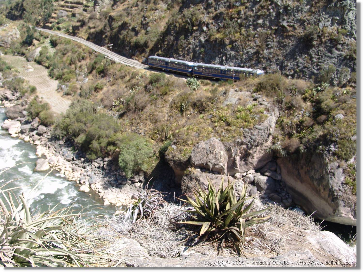 Inca_066.jpg