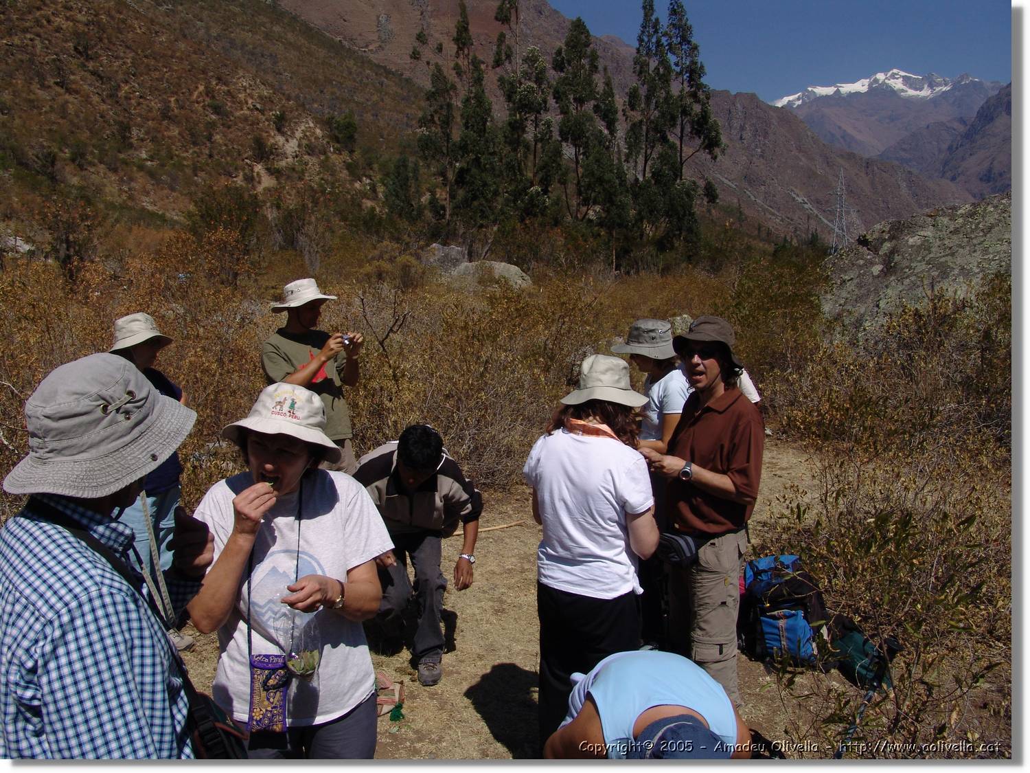 Inca_072.jpg