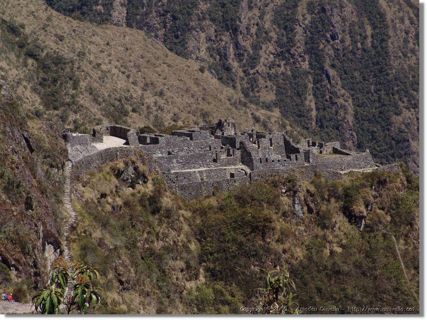 Inca_405.jpg
