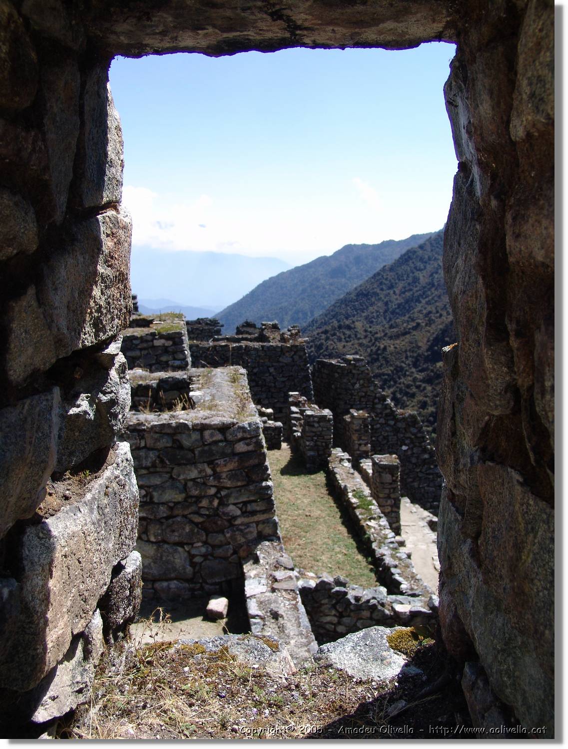Inca_426.jpg