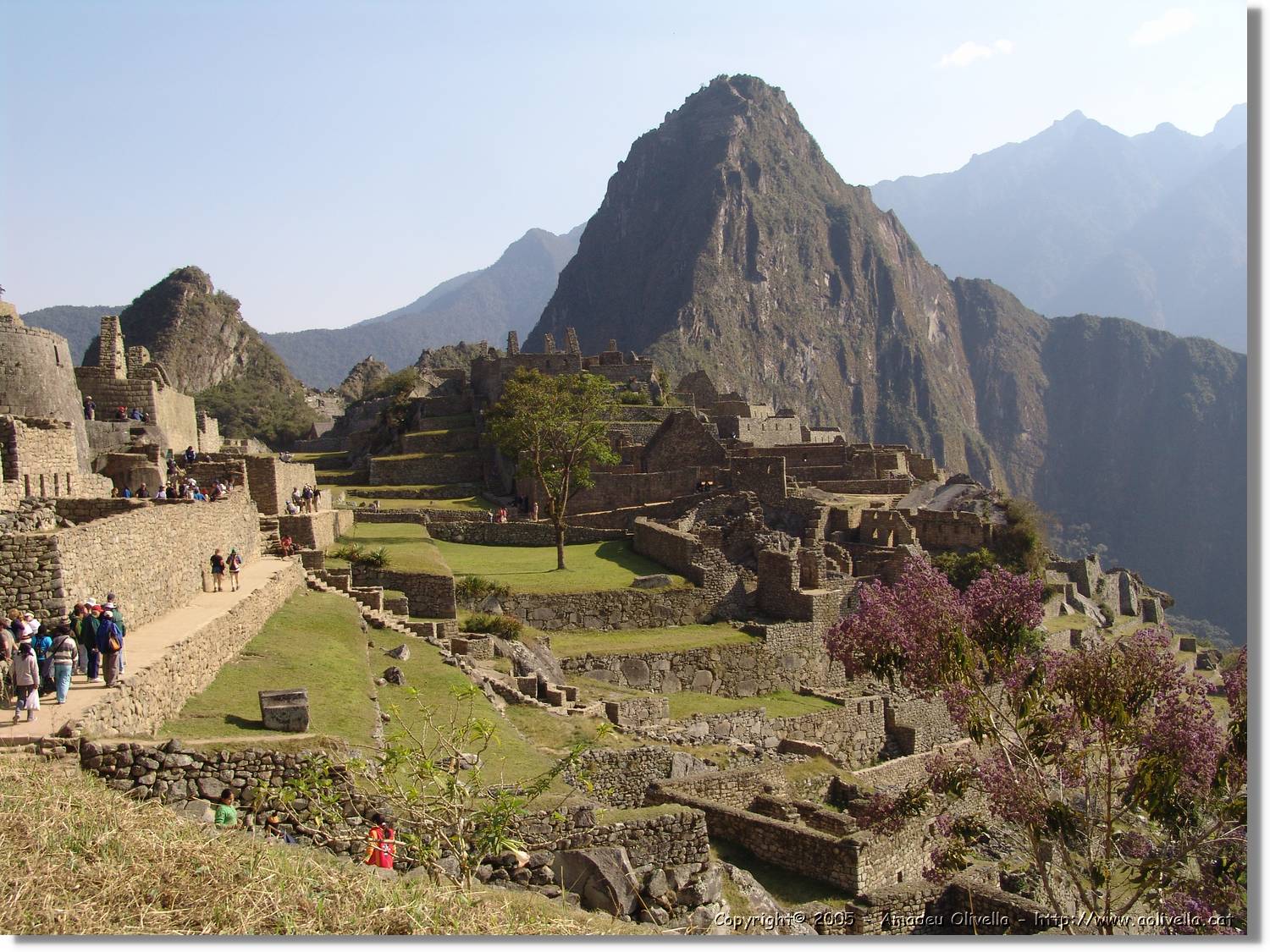 Inca_694.jpg