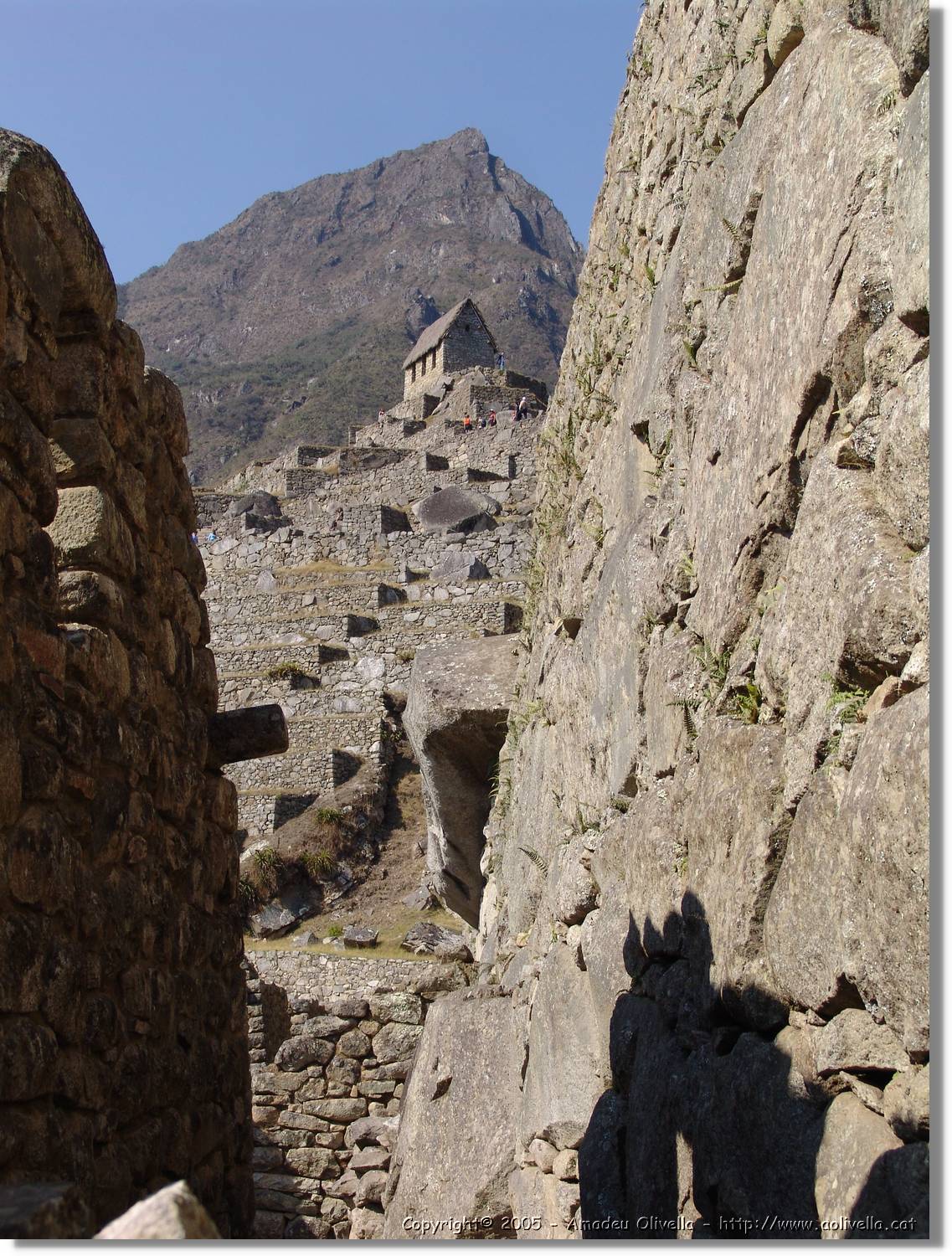 Inca_742.jpg