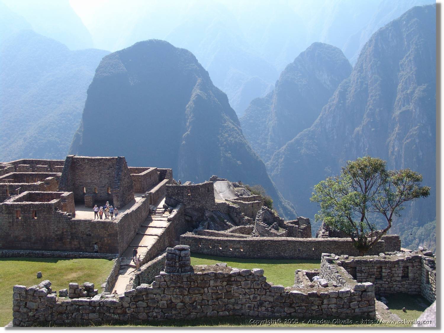Inca_749.jpg
