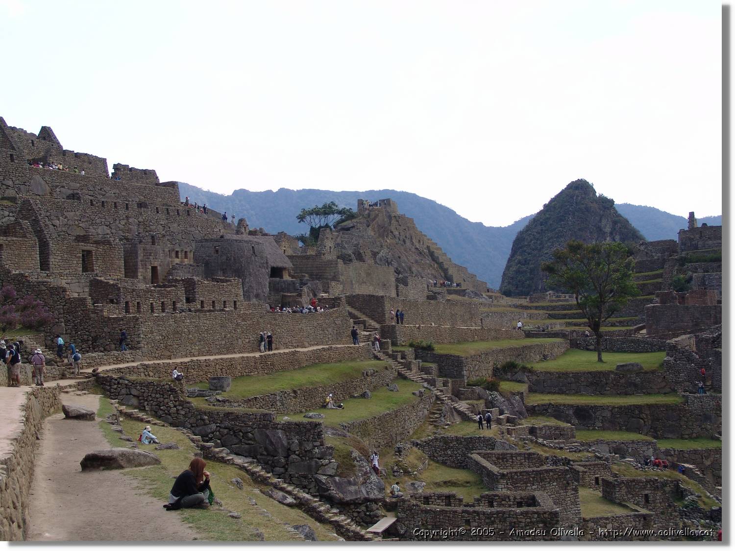 Inca_804.jpg