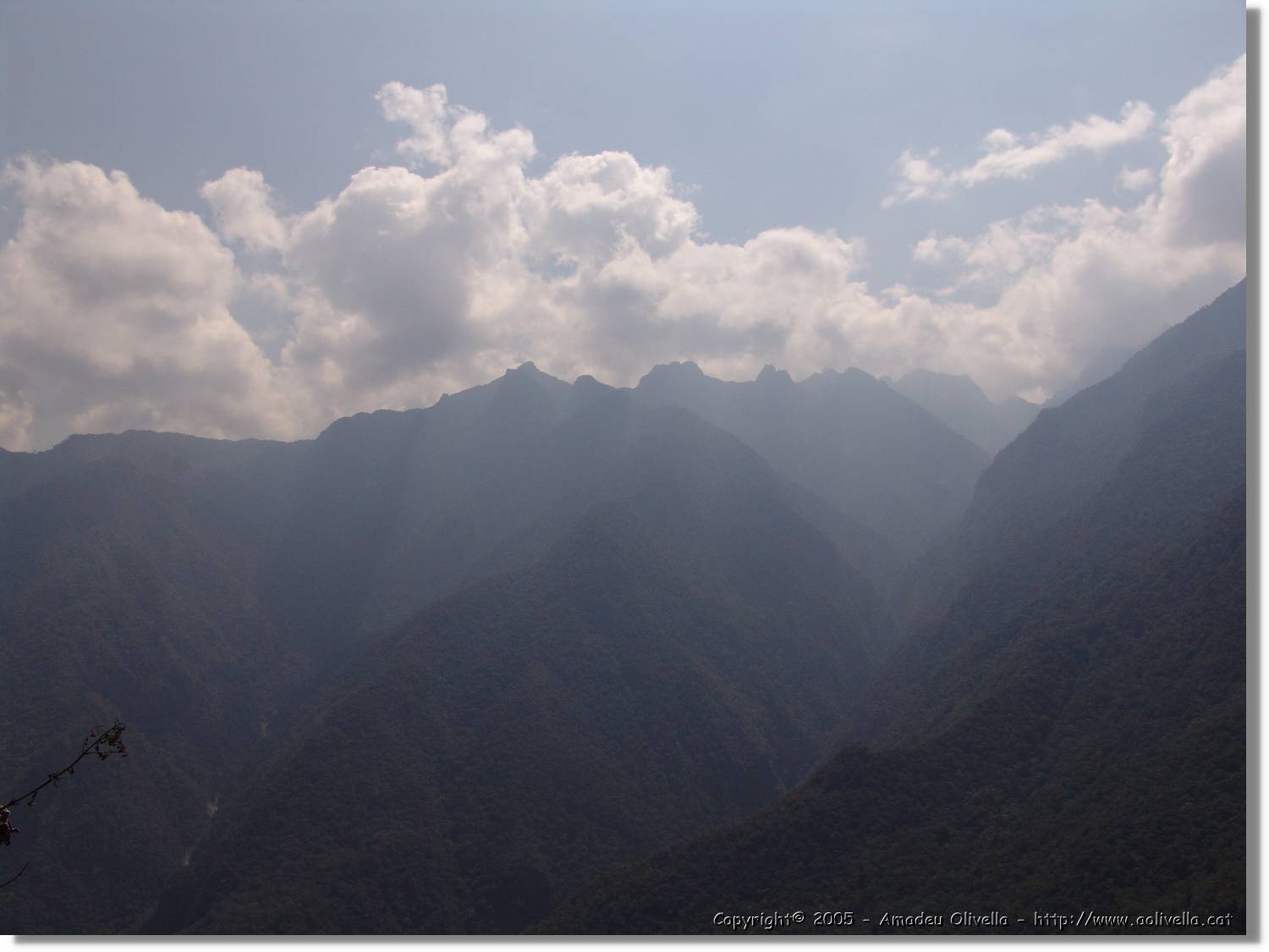 Inca_879.jpg