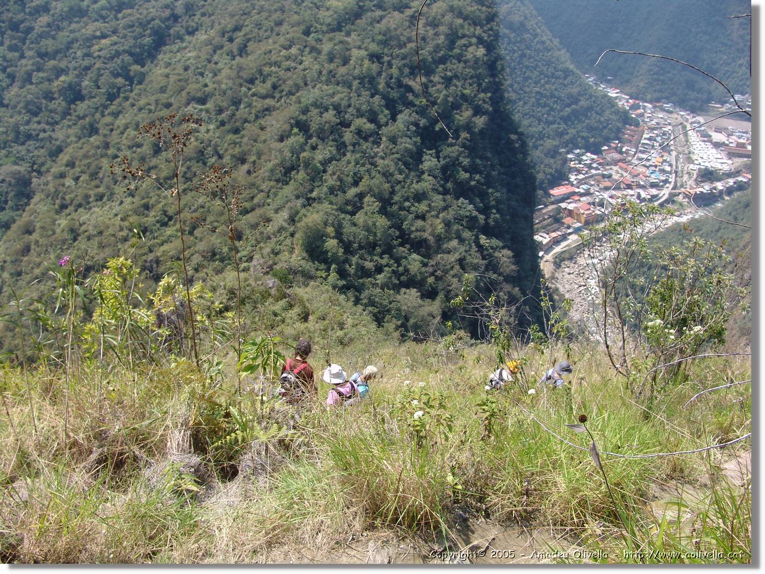 Inca_882.jpg