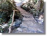 Inca_153.jpg(181 KB)