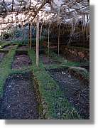 Inca_154.jpg(187 KB)