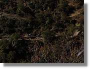 Inca_156.jpg(116 KB)