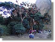 Inca_159.jpg(200 KB)