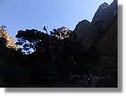 Inca_160.jpg(72,2 KB)