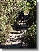 Inca_164.jpg(248 KB)