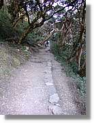 Inca_165.jpg(146 KB)