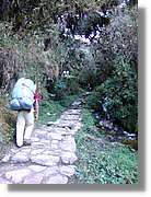 Inca_167.jpg(187 KB)