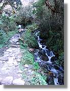 Inca_168.jpg(192 KB)